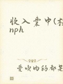 收入囊中(校园nph