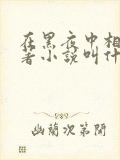 在黑夜中相拥原著小说叫什么