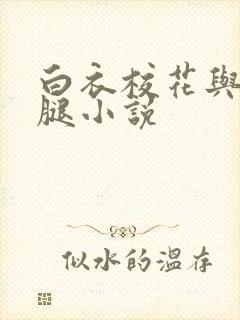 白衣校花与大长腿小说