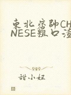 东北痞帅CHINESE粗口渣男