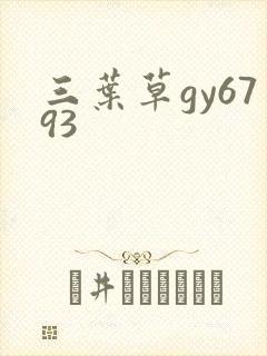 三叶草gy6793