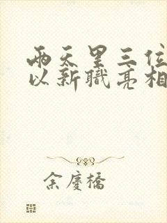 两天里三位将军以新职亮相