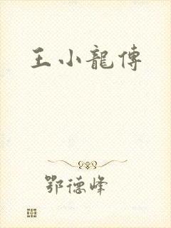 王小龙传