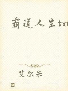 霸道人生txt