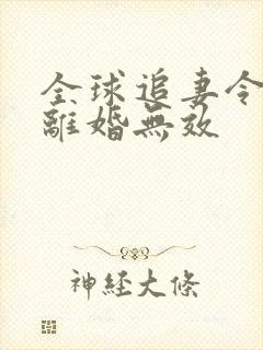 全球追妻令老婆离婚无效