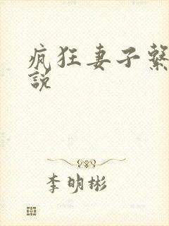 疯狂妻子系列小说