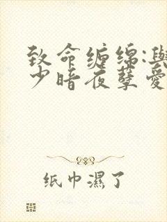 致命缠绵:与冷少暗夜孽爱