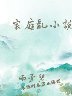 家庭乱小说