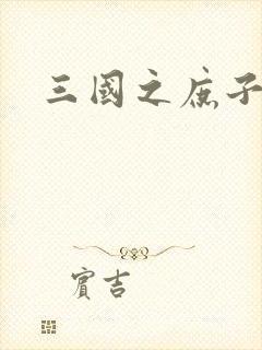 三国之庶子称雄