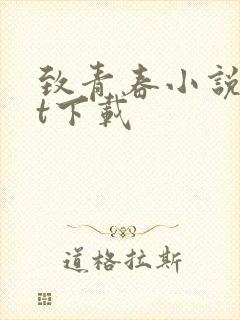 致青春小说txt下载