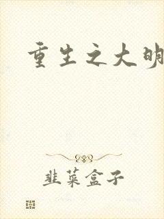 重生之大明王朝