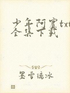 少年阿宾txt全集下载