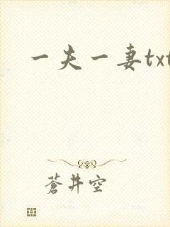一夫一妻txt