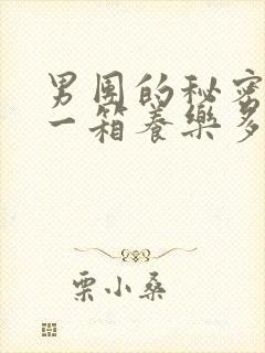 男团的秘密BY一箱养乐多小说