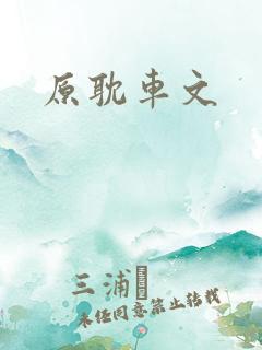 原耽车文