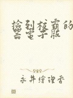 捡到校霸的遥控器电子版