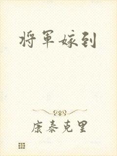 将军嫁到