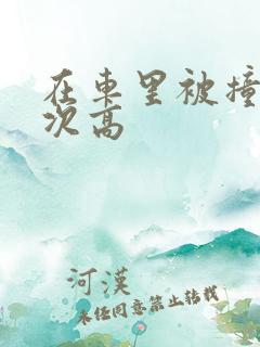 在车里被撞了八次高