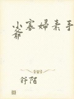 小寡妇素手擒四爷