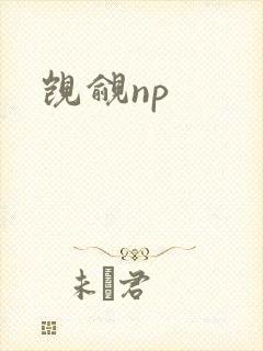 觊觎np