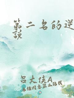 第二名的逆袭小说