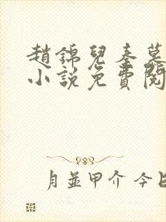 赵锦儿秦慕修的小说免费阅读全文