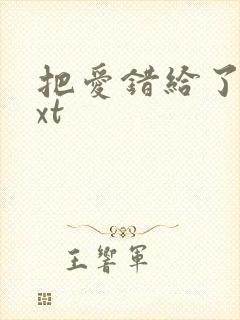 把爱错给了你txt