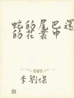 蛇的尾巴还在我的花丛中