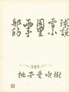 那两团雪球在他的手里小说