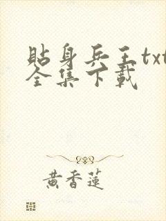 贴身兵王txt全集下载