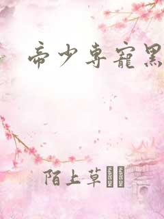 帝少专宠黑道妻