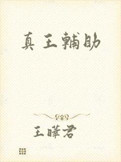 真王辅助