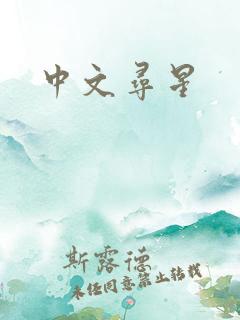 中文寻星