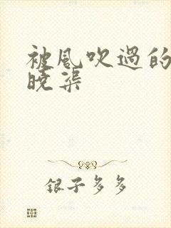 被风吹过的夏天晓渠