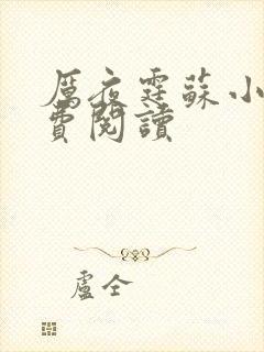 厉夜霆苏小汐免费阅读