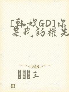 [韩娱GD]你是我的权先生