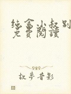 纯禽小叔别太猛免费阅读