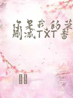 你是我的荣耀未删减TXT番外