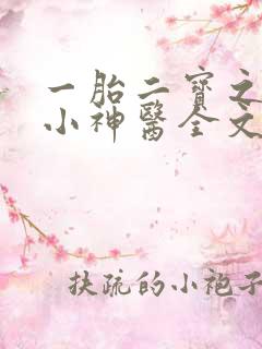 一胎二宝之弃妃小神医全文免费阅读