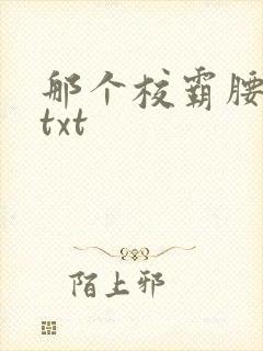 那个校霸腰好软txt