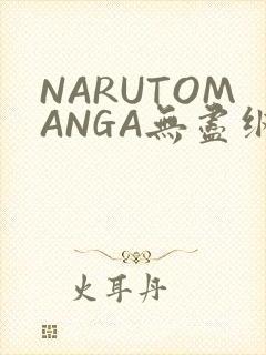 NARUTOMANGA无尽纲手