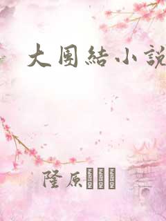 大团结小说阅读