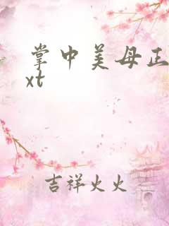 掌中美母正版txt