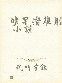 明星潜规则之皇 小说