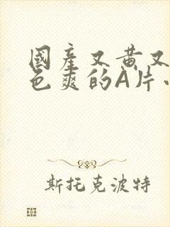 国产又黄又大又色爽的A片小说