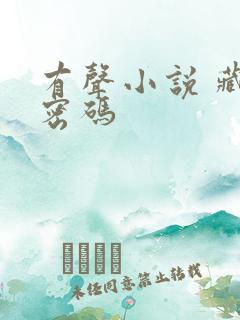 有声小说 藏地密码