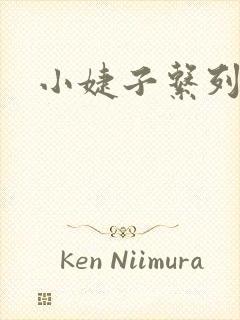 小婕子系列小说