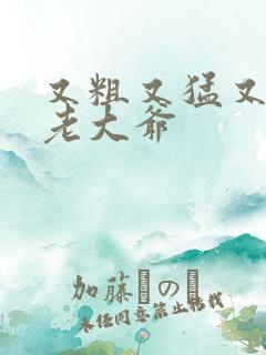 又粗又猛又大爽老大爷