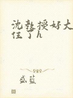 沈教授好大含不住了h