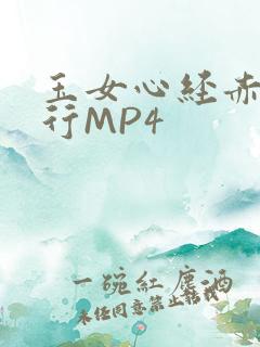 玉女心经赤裸修行MP4